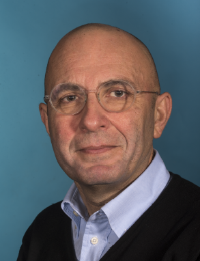 Professor Stefano Stea