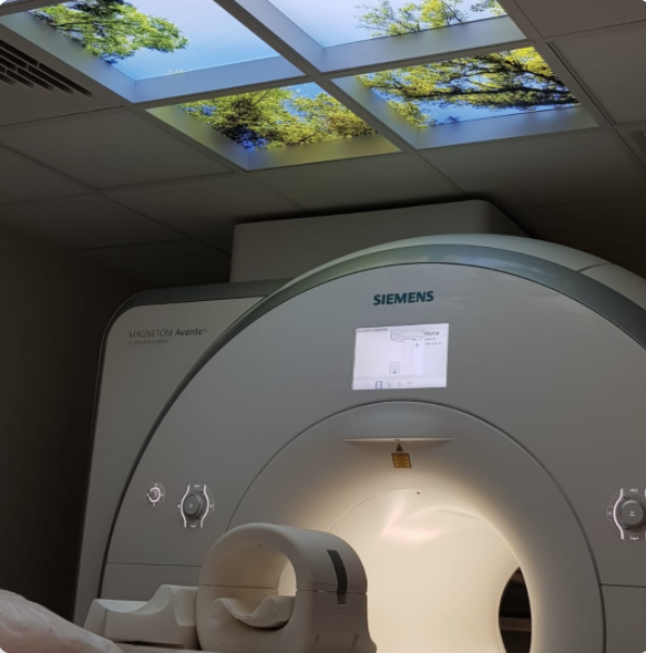 Full Body* Cancer MRI Screening