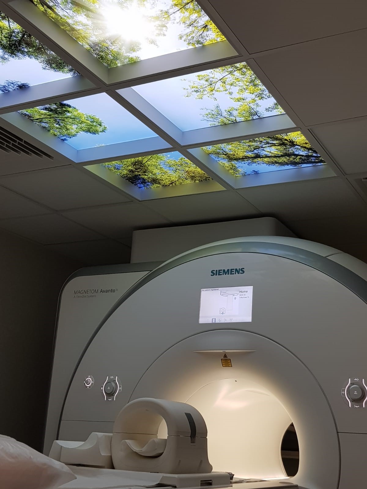 What does the Full Body* MRI Cancer Screening include?