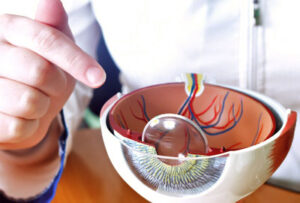 A Glimpse into the 16th European Glaucoma Society Congress: Pioneering Advances in Glaucoma Care